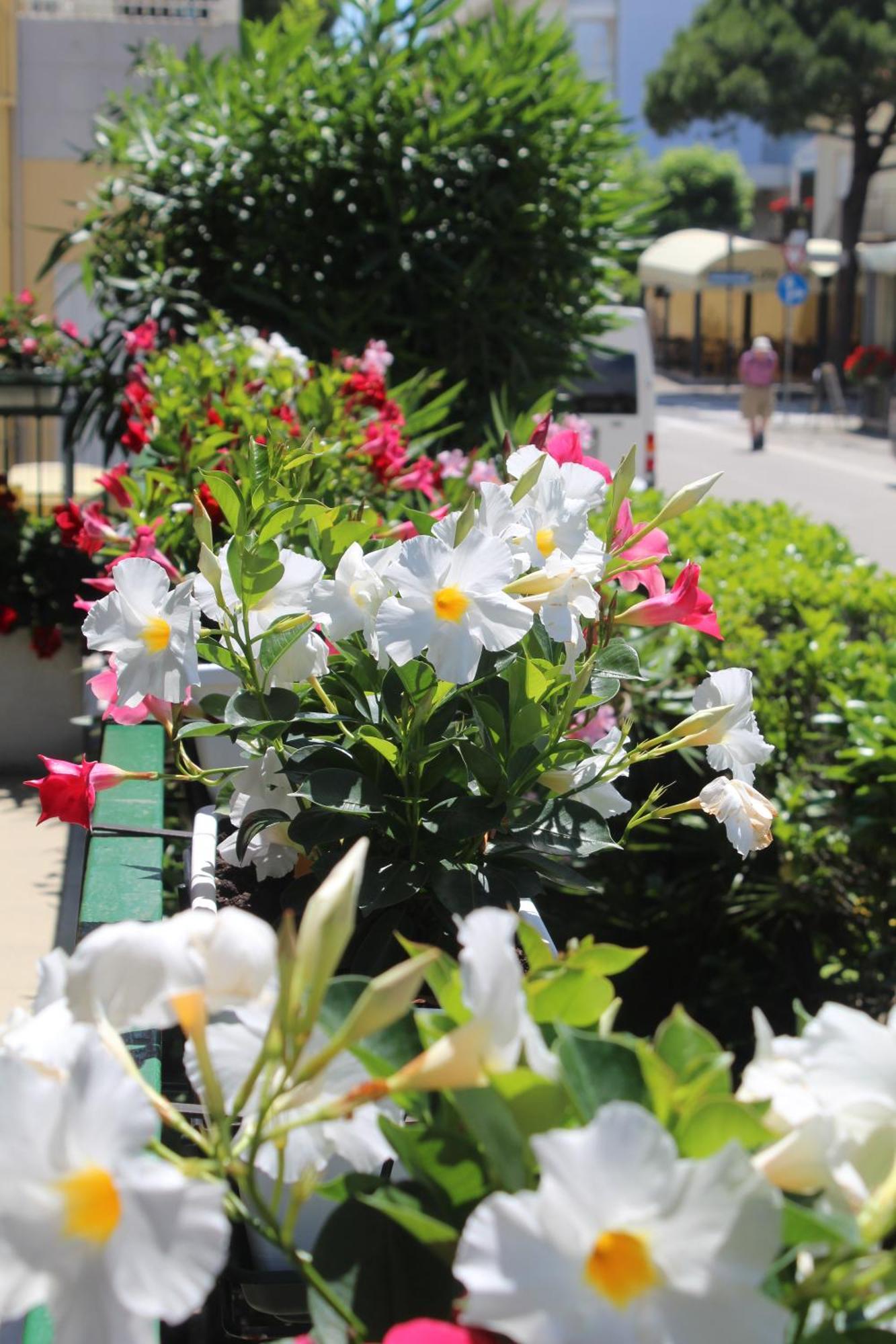 Ute Hotel Lido di Jesolo Bagian luar foto